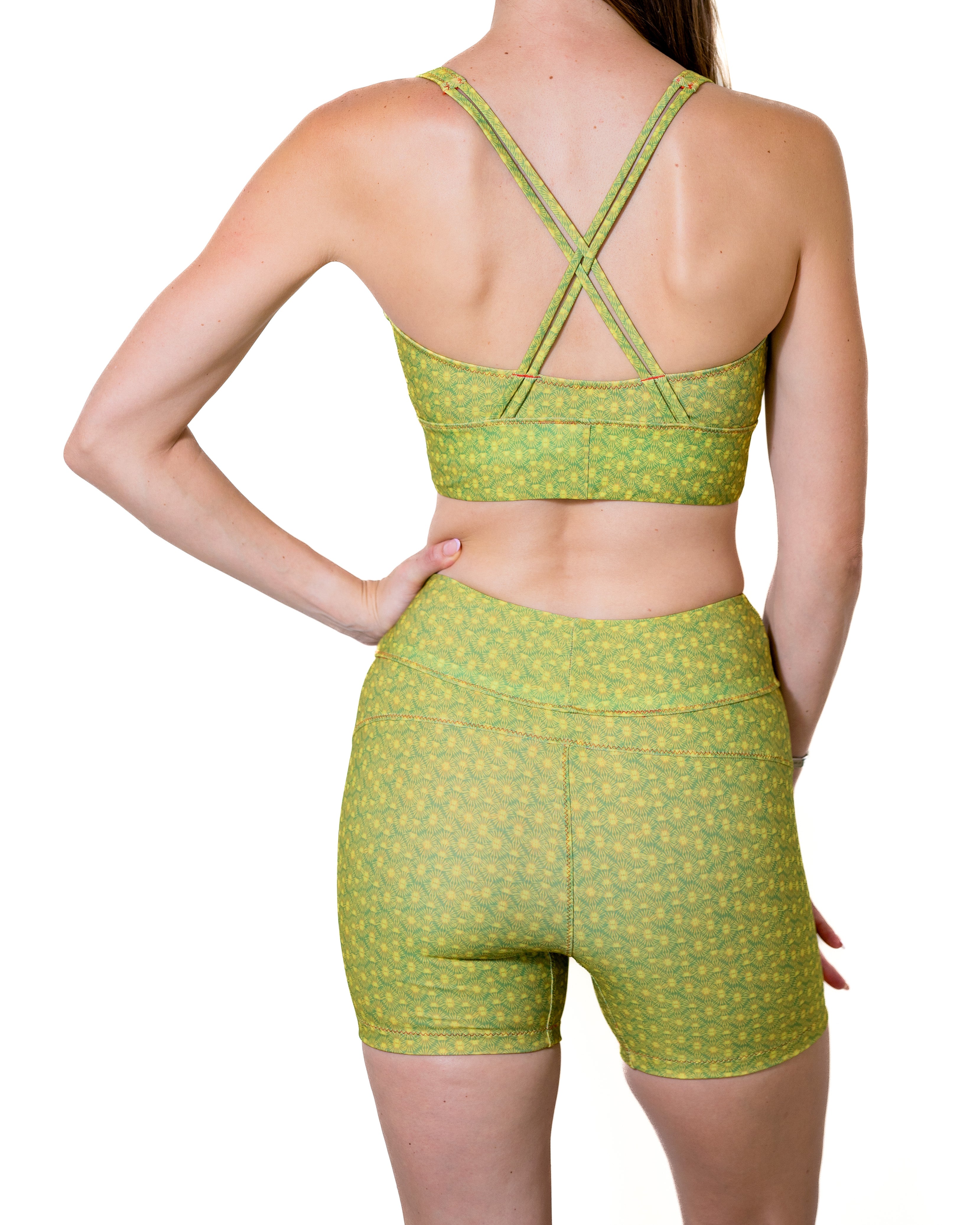 Aima Dora - High Waisted Shorty - Back / Turtle Bay - Baie aux tortues