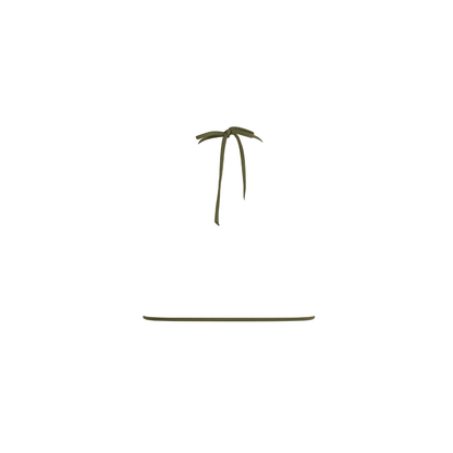 Haut de bikini triangle